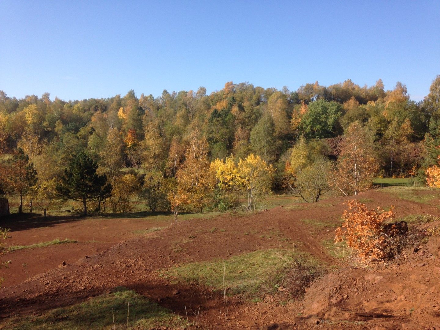 Das Naturschutzgebiet Lalléngerbierg im Herbst